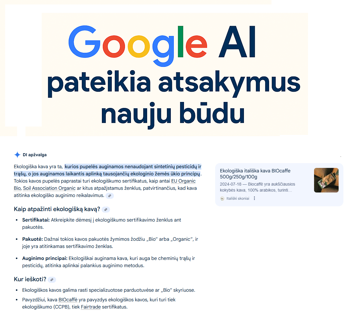 google ai matomumas 