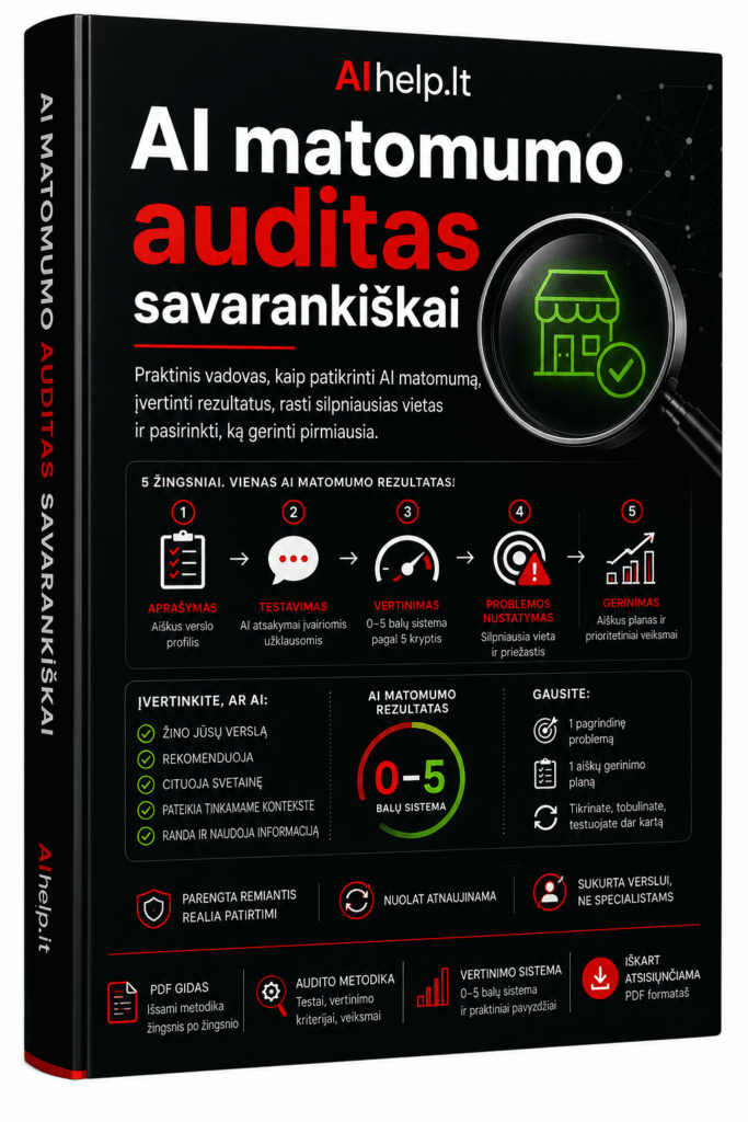 ai auditas savarankiskai gidas produkto vizualas